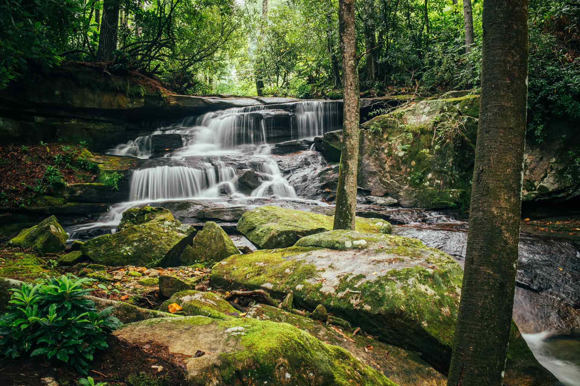 cascading waterfall with rock cropping covered in bright green moss