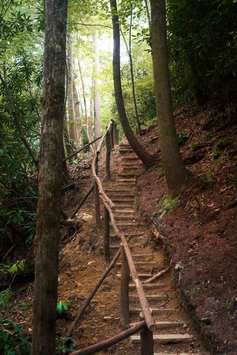 steps on a trail going uphill with sun in the background